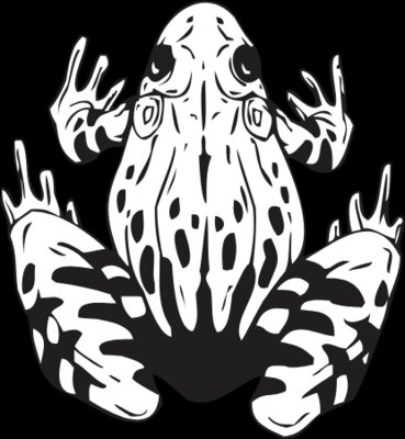 FROG4