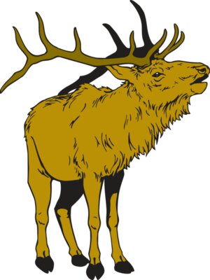 ELK 3