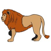 Lion1
