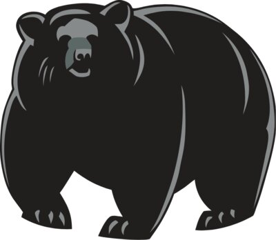 bear4