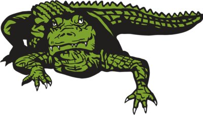 AlligatorS011