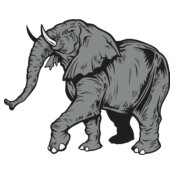Elephantj021