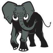Elephant03V4clr