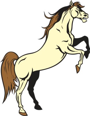horse13