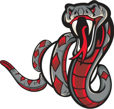 snakej012