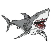Shark01V4CLR