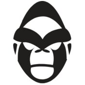 Gorillas-Apes
